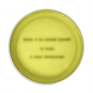 BROSH ×SON OF THE CHEESE POMADE ✴︎完売中✴︎